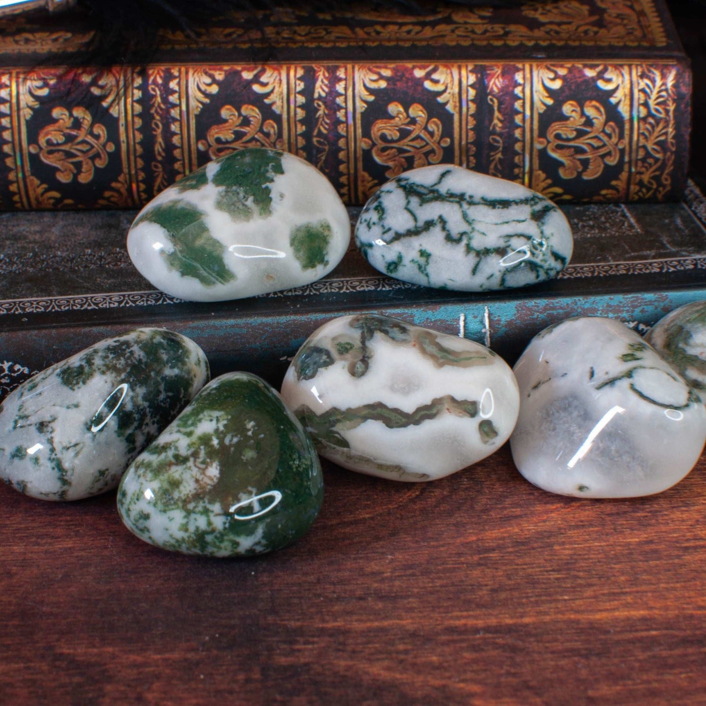 Agate Arbre | Pierre roulée Naturelle